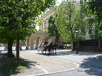 Kutsche vor dem Schloss Schnbrunn